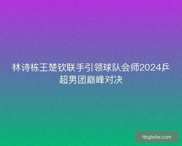 林诗栋王楚钦联手引领球队会师2024乒超男团巅峰对决