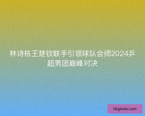 林诗栋王楚钦联手引领球队会师2024乒超男团巅峰对决